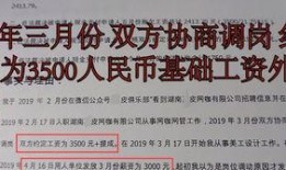 企业职工维权爆料视频,揭露职场困境与权益挑战