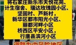 石家庄饭店爆料案件最新,揭秘背后惊人真相